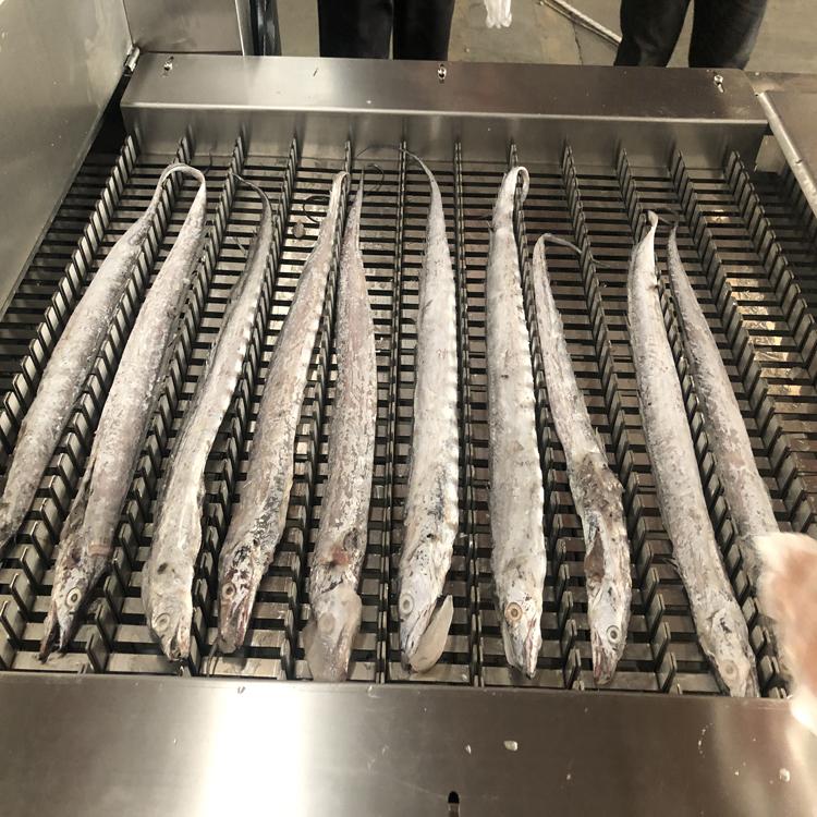 刀鱼切段机冻刀鱼切段机器设备 可调节尺寸冻刀鱼切段机器设备